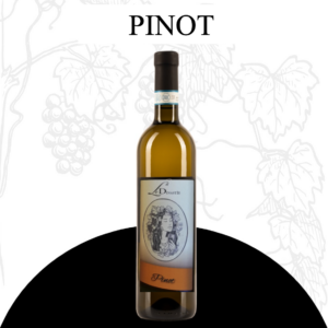 Pinot Nero vinificato in bianco IGP provincia di Pavia