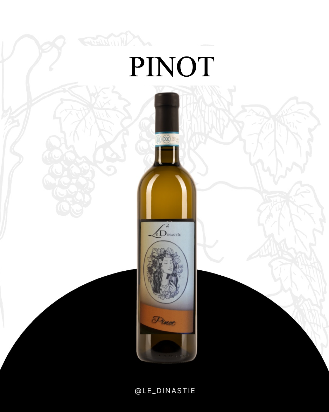 Pinot Nero vinificato in bianco IGP provincia di Pavia